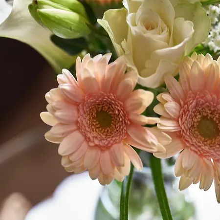 Kitzhome Κίτσμπουελ